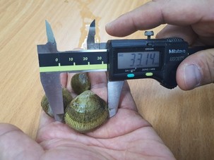thumbimg