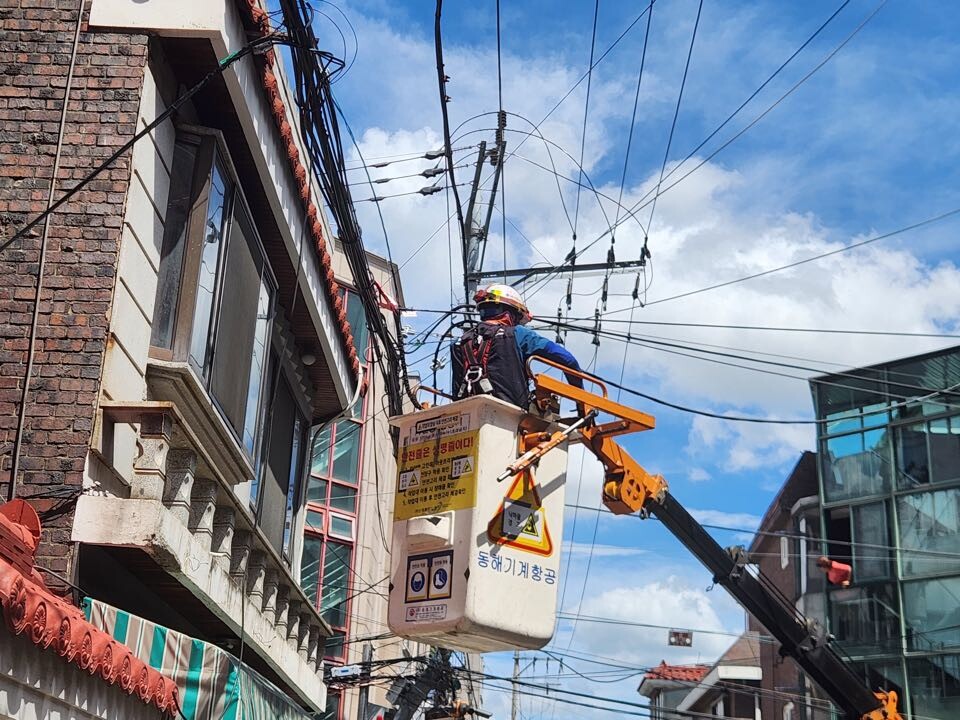 강북구, 태풍 대비 전기·통신선 특별...