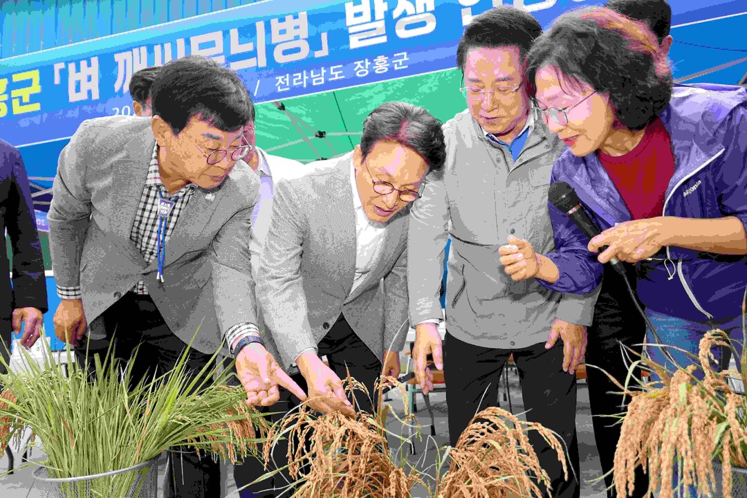 김민석 총리, 장흥 벼 깨씨무늬병 피...