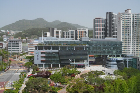 부산 남구, 새로운 시도 '대...