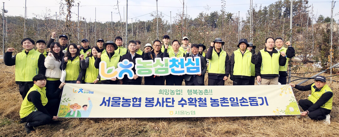 서울농협, 수확철 맞아 임직원 농촌일...