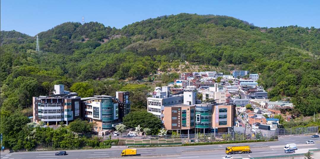대구시, 동절기 취약노인 보호대책 가...