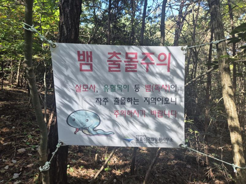 월출산국립공원 “말벌·독사 사고 예방...