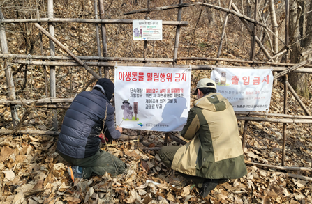월출산국립공원, 겨울철 야생동물 밀렵...
