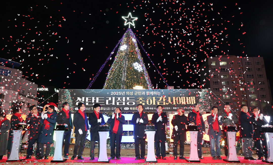 의성군, 의성읍 북원교차로서 성탄트리...