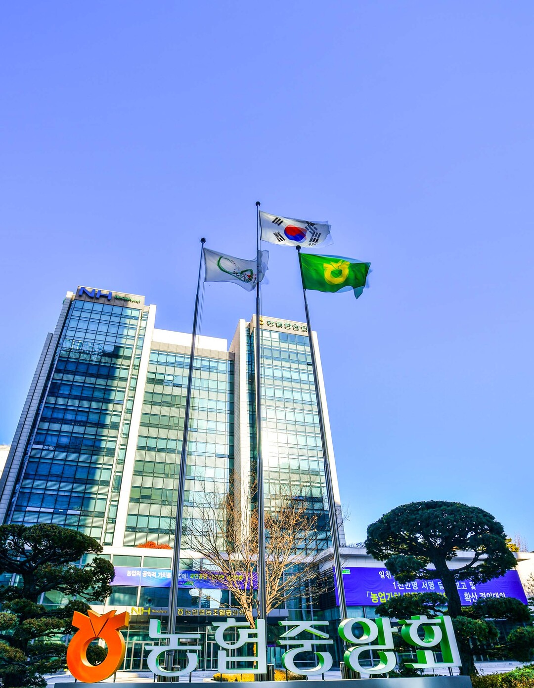 농협, 인적쇄신 단행... 집행간부 ...