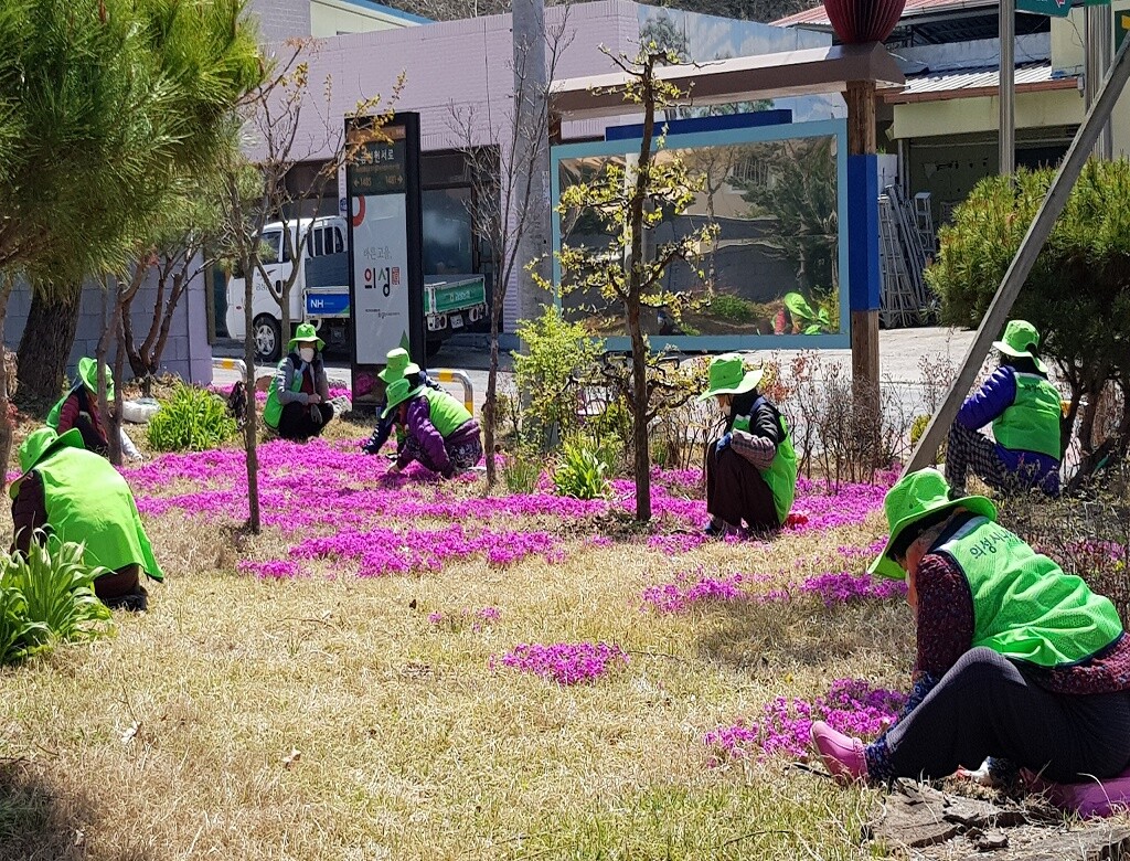 의성군, 2026년 노인일자리 2,7...