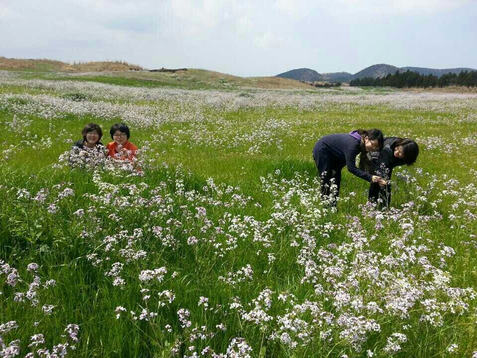 한 해를 보내며 당신에게