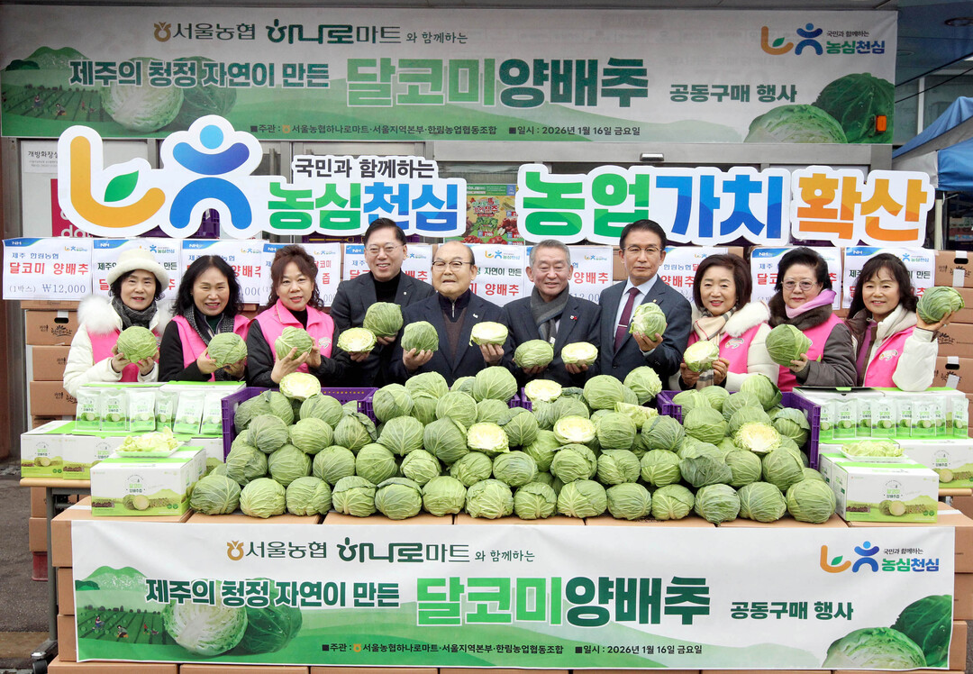 서울농협 하나로마트, 제주 양배추 공...