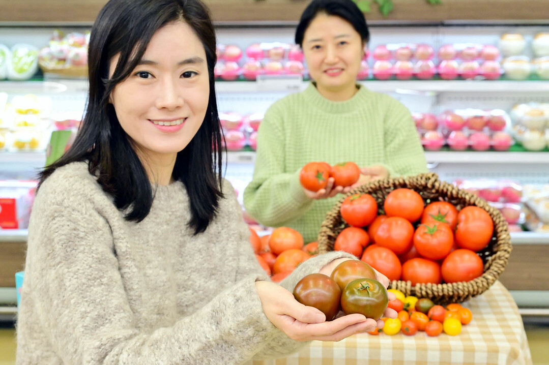 [포토] 한겨울 면역력 슈퍼 푸드 토...