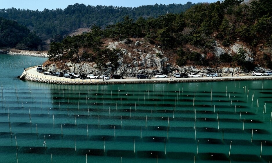 장흥군 대덕 용암리 매생이 양식장… ...