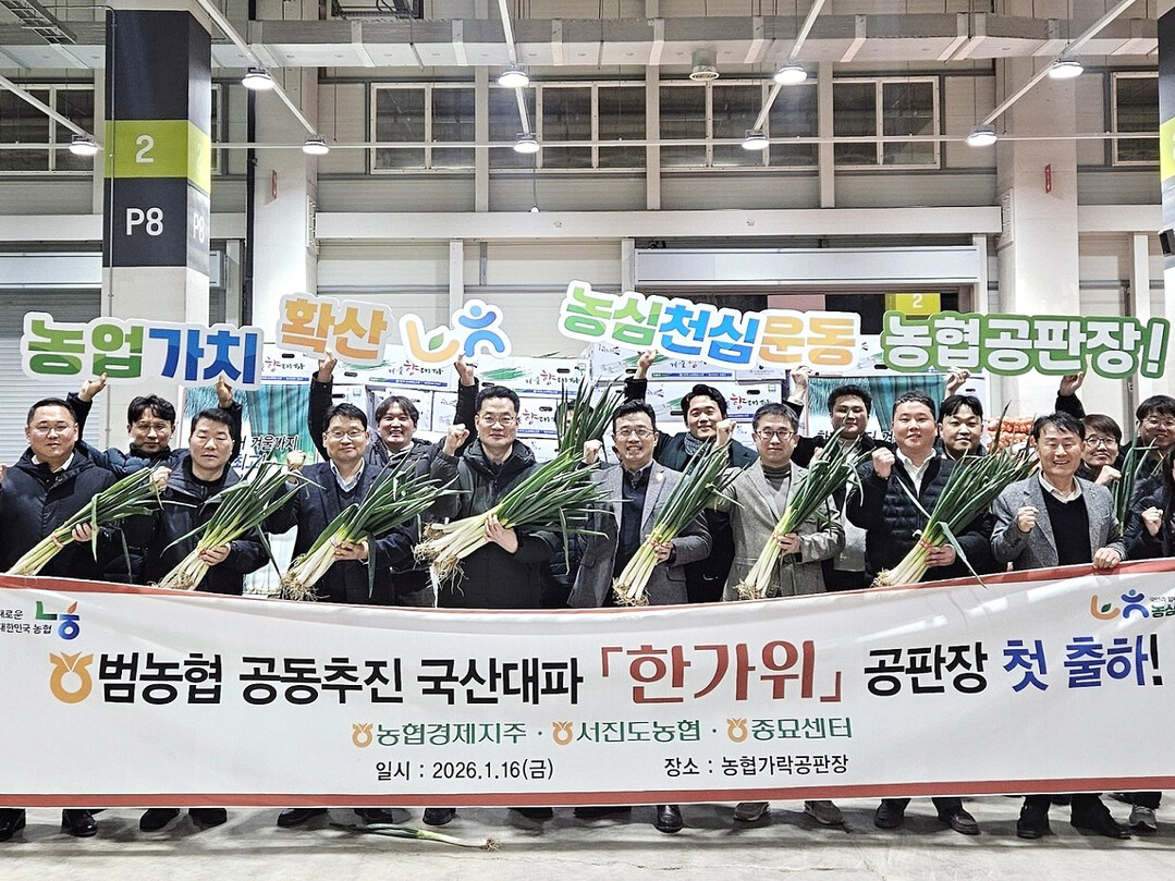 농협, 대파 신품종‘한가위’첫 선.....
