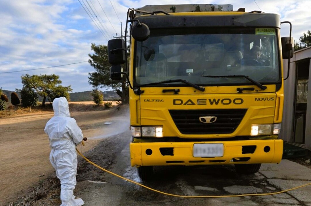장성군, 병원성 조류인플루엔자 방역에...