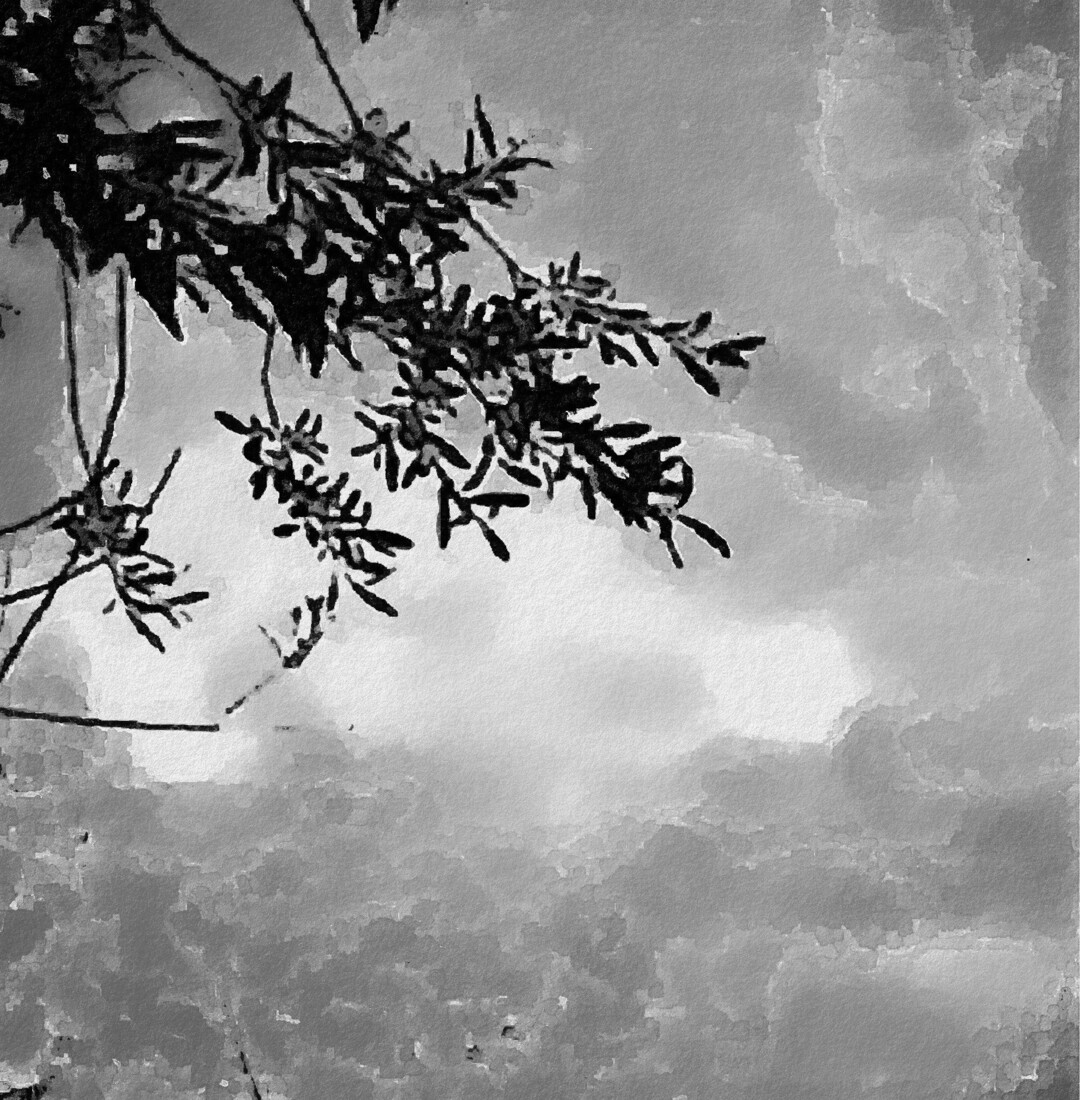 그대는 어디 가고