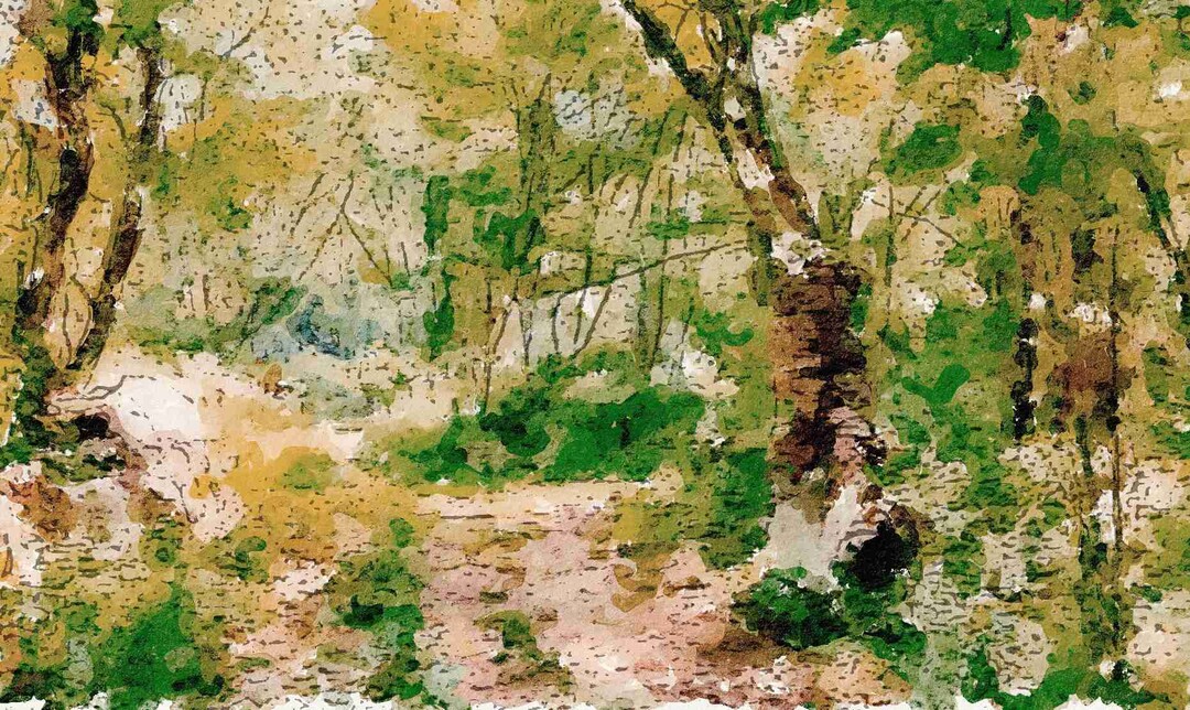 길인 듯 아닌 듯