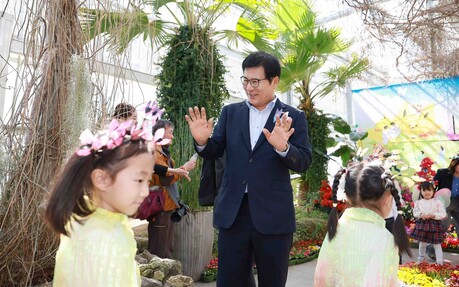 함평나비축제 성공 기원, 하늘로 날아오른 호랑나비 떼