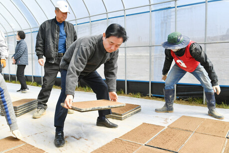 화천군, 취약 농업인 모내기 위한 육묘은행 퀵서비스 사업