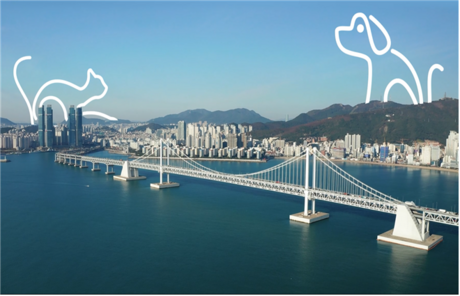 반려동물 친화도시 부산, '일상의 돌봄' 캠페인 전개