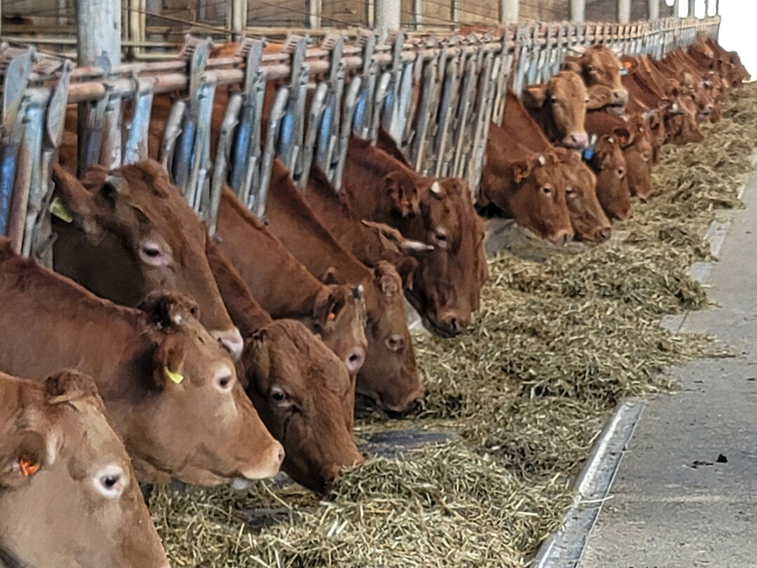 진주시, 기후 위기시대 ‘축산업’ 새...
