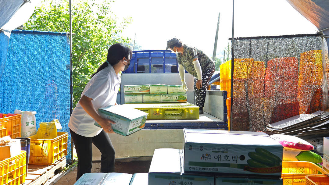 화천군 여성 농업인 특수 건강검진 지...