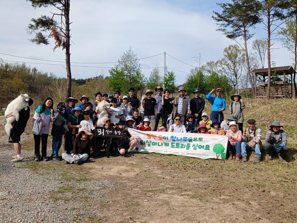 불탄 숲에 다시 숨결…청송 산불피해지...