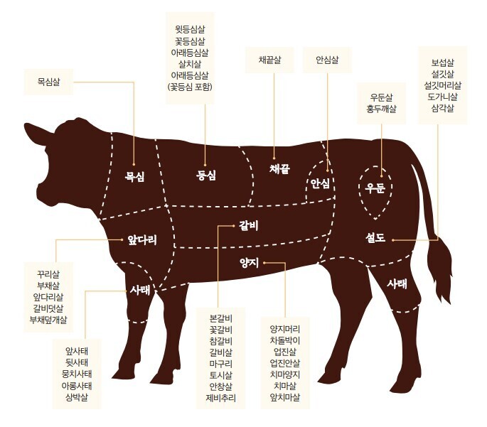 소 부위 이름에 담긴 삶과 관찰의 기록, ‘한우가 답하다’