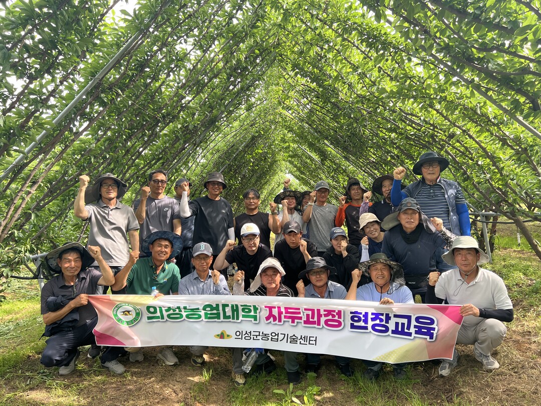 의성농업대학 자두과정, 고품질 자두 ...