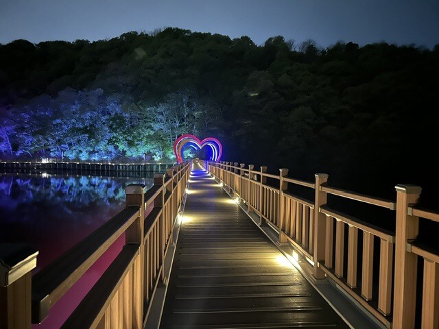 은은한 빛으로 물든 파주 공릉호수 ‘...