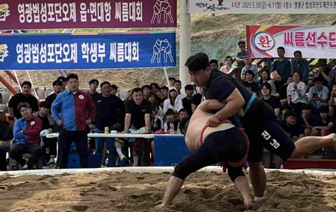 영광군,19일 ~21일, 영광법성포단...