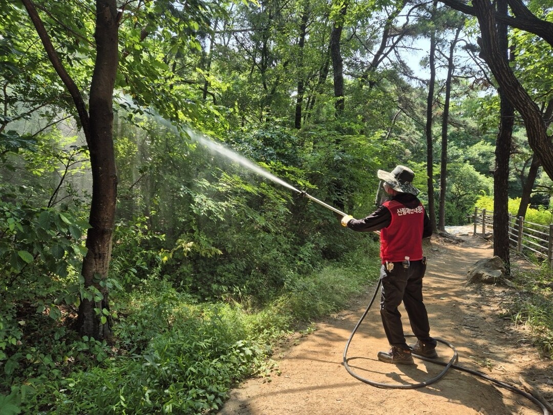 인천 계양구, 러브버그 총력 방제 성...