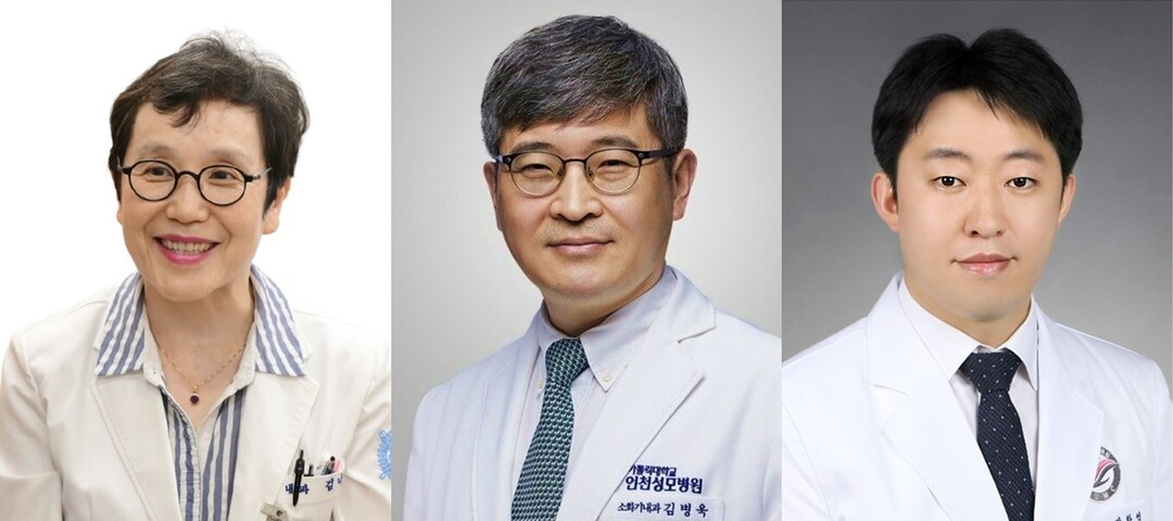 분당서울대병원·가톨릭의대·한림대의대 ...