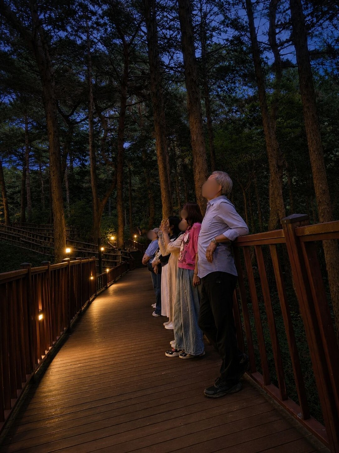 창원시, 편백치유의 숲 야간 산림치유...