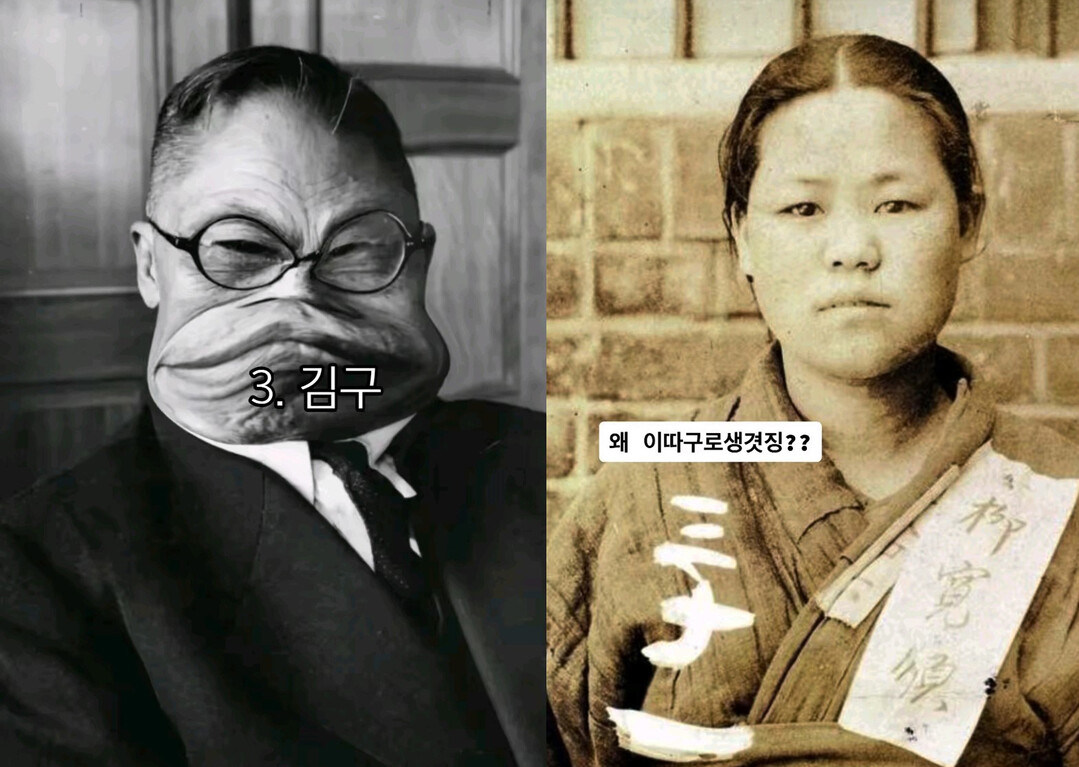 광복절 앞두고 독립운동가 조롱 콘텐츠 확산…“플랫폼 자정 노력 필요”