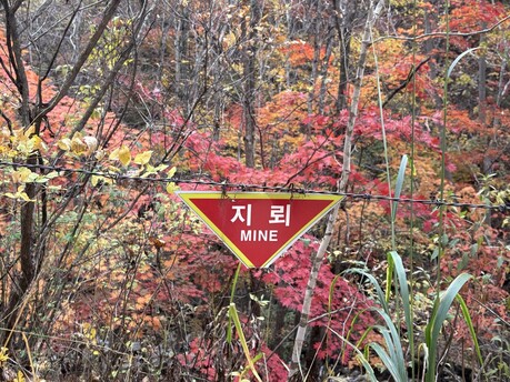 양구 ‘금강산 가는 길 걷기’ 1,900명 참여, 2년 만에 재개