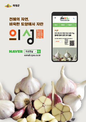 의성군